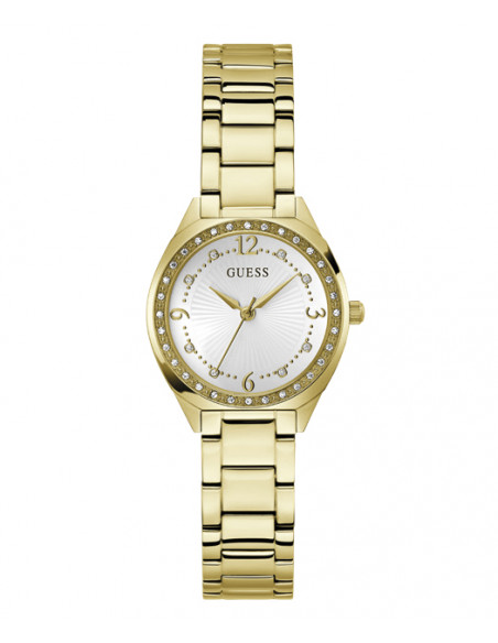 RELOJ GUESS GW0767L2