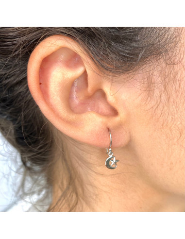 PENDIENTES EN PLATA LARGOS MEDIA LUNA ESTRELLA