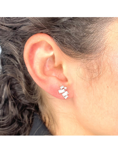 PENDIENTES EN PLATA 5 CIRCONITAS TALLA COMBINADA RECTANGULO