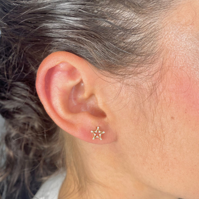 PENDIENTES EN ORO ESTRELLA CALADA DIEZ CIRCONITAS 2