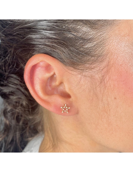 PENDIENTES EN ORO ESTRELLA CALADA DIEZ CIRCONITAS