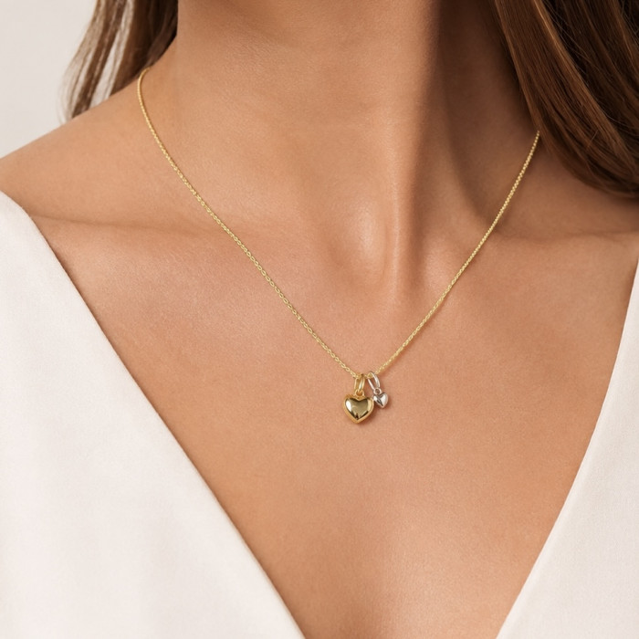 GARGANTILLA DE PLATA CON CORAZONES BICOLORES 2