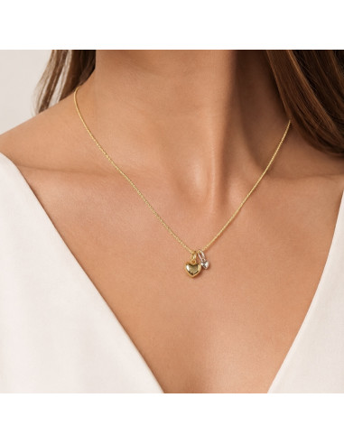 GARGANTILLA DE PLATA CON CORAZONES BICOLORES