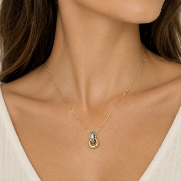 GARGANTILLA DE PLATA CON AROS BICOLORES 2